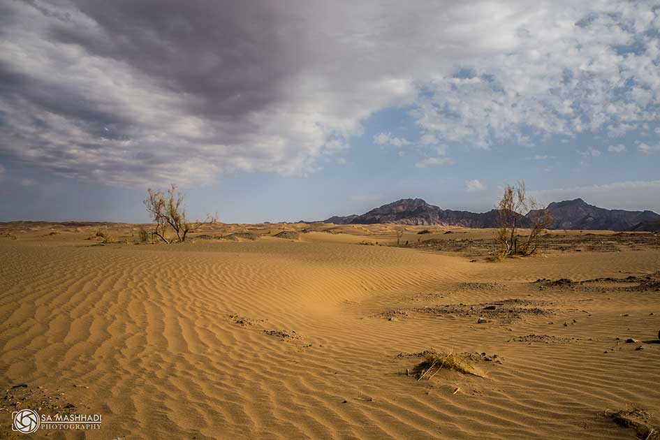 Mesr Desert_image